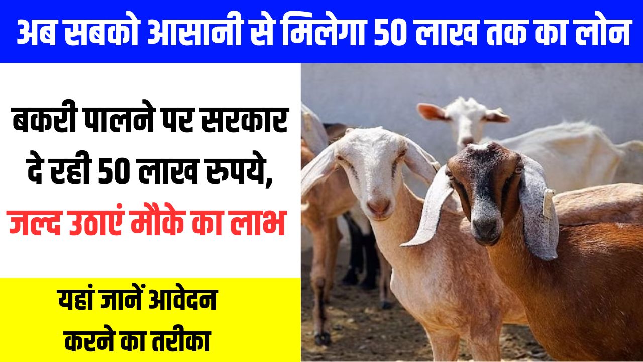 Bakri Palan Loan Yojana